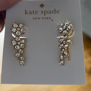 Kate spade earrings